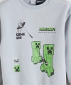 LC Waikiki Gri Bisiklet Yaka Baskılı Erkek Çocuk Sweatshirt