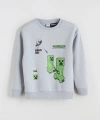 LC Waikiki Gri Bisiklet Yaka Baskılı Erkek Çocuk Sweatshirt