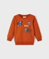 NAME IT Erkek Çocuk %100 Pamuklu Sardonlu Sweatshirt