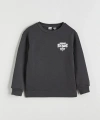 LC Waikiki Baskılı Erkek Çocuk Kalın Sweatshirt