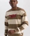 Defacto Boxy Fit Bisiklet Yaka Çizgili Baskılı Sweatshirt