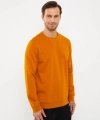 LC Waikiki Classic Sarı Bisiklet Yaka Uzun Kollu Erkek Kalın Sweatshirt