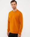 LC Waikiki Classic Sarı Bisiklet Yaka Uzun Kollu Erkek Kalın Sweatshirt