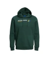 JACK & JONES Kapüşonlu Sweatshirt