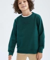 Defacto Erkek Çocuk Bisiklet Yaka Sweatshirt