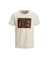 Jack & Jones Erkek Baskılı Tişört