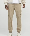 Jack & Jones Erkek Kargo Pantolon