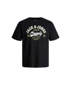 Jack & Jones Erkek T-shirt