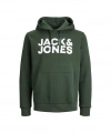 Jack & Jones Erkek Sweatshirt