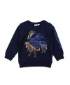 NAME IT Erkek bebek sweat