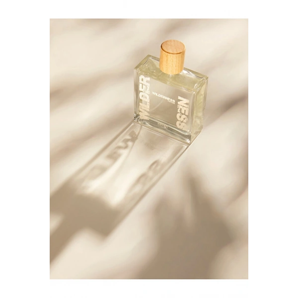 KOTON Erkek Parfüm Wilderness 100 ML