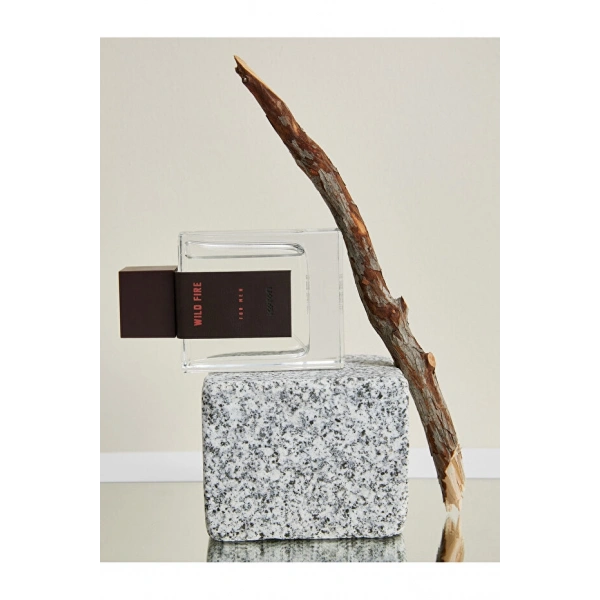 KOTON Erkek Parfüm Wild Fire 100 ML