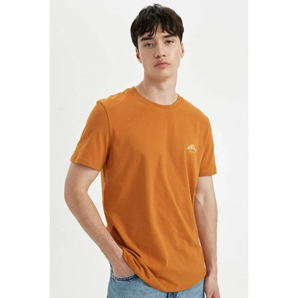DEFACTO Bisiklet Yaka Baskılı Kısa Kollu T-shirt