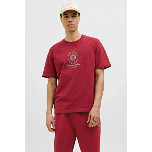 Jack & Jones Erkek Baskılı Tişört