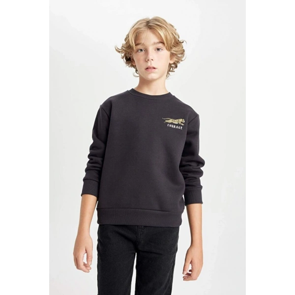 Defacto Baskılı Bisiklet Yaka Sweatshirt Erkek Çocuk