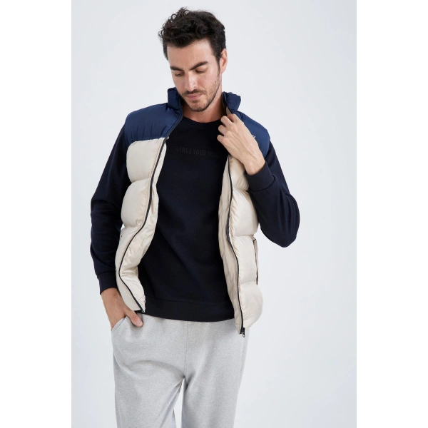DEFACTO Regular Fit Yelek