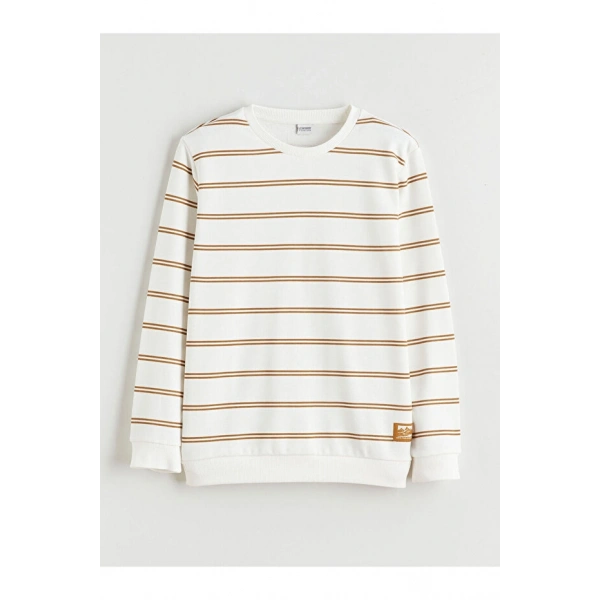 LC Waikiki Bisiklet Yaka Çizgili Erkek Çocuk Sweatshirt