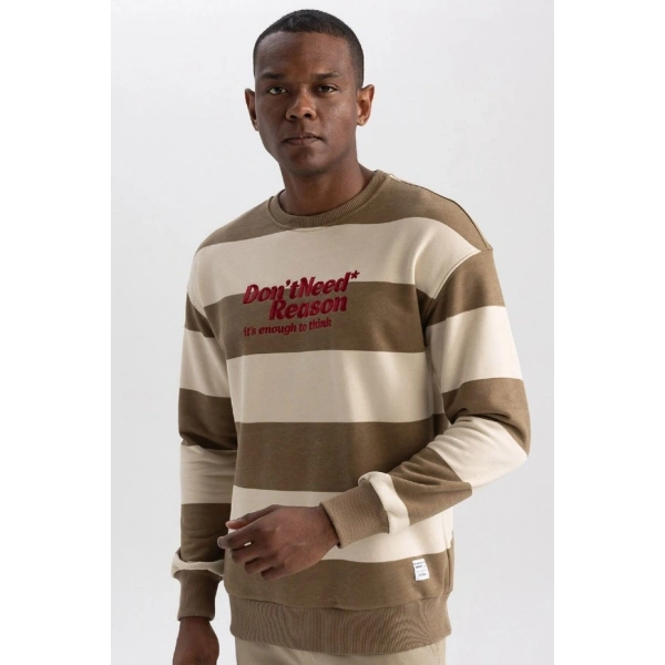 Defacto Boxy Fit Bisiklet Yaka Çizgili Baskılı Sweatshirt