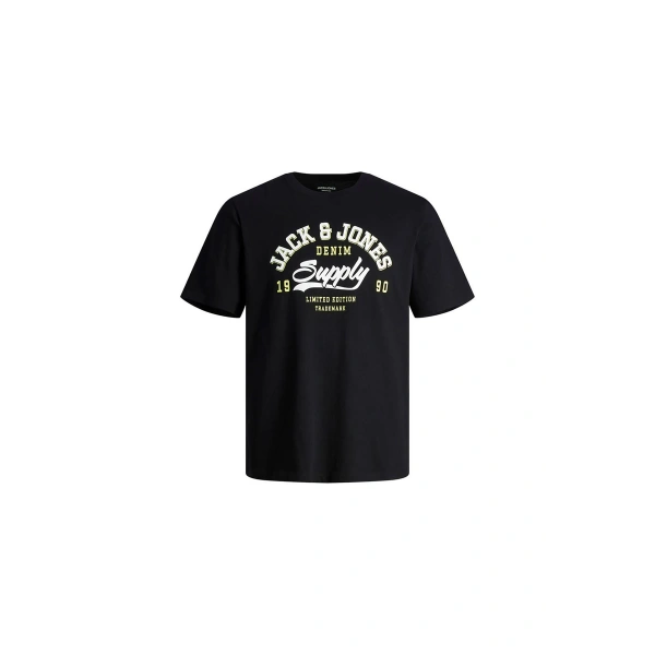 Jack & Jones Erkek T-shirt