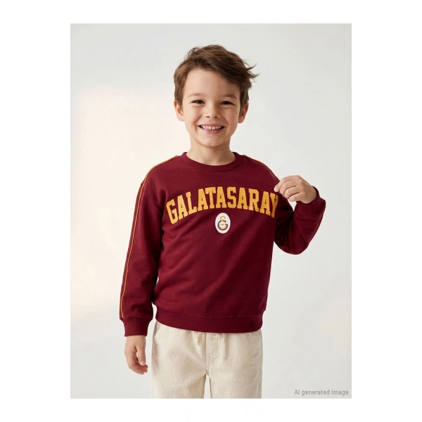 LC Waikiki Baskılı Erkek Çocuk Kalın Sweatshirt