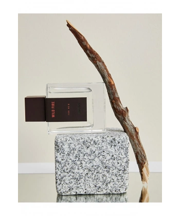 KOTON Erkek Parfüm Wild Fire 100 ML