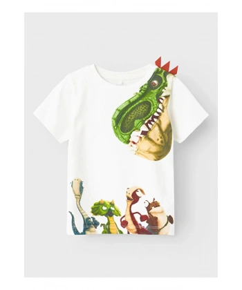 NAME IT Erkek Çocuk Baskılı Tişört