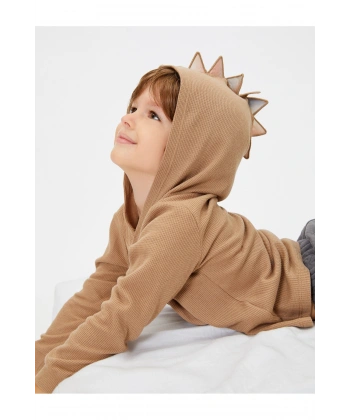 Basic Kapşonlu Sweatshirt Uzun Kollu Pamuklu