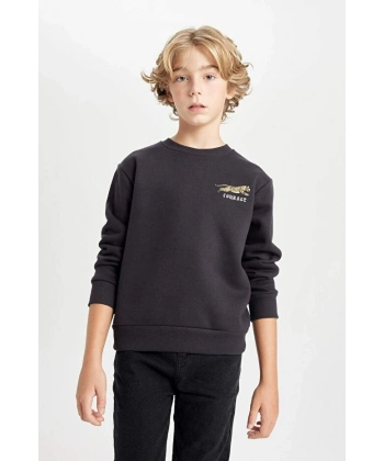 Defacto Baskılı Bisiklet Yaka Sweatshirt Erkek Çocuk