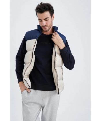 DEFACTO Regular Fit Yelek