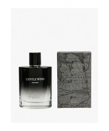 Koton Parfüm Gentle Wind 100 ML