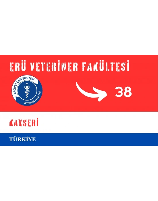 Erciyes Üniversitesi Levha