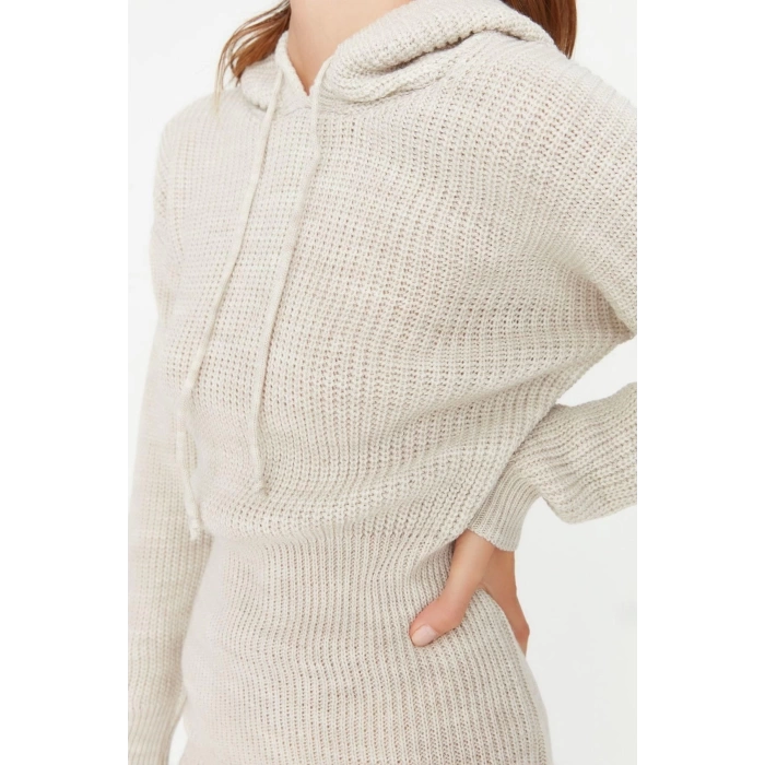New Regular Casual Daily Full Needle Knitwear Hooded Long Sleeve Sweater Dress Mini Length Dress