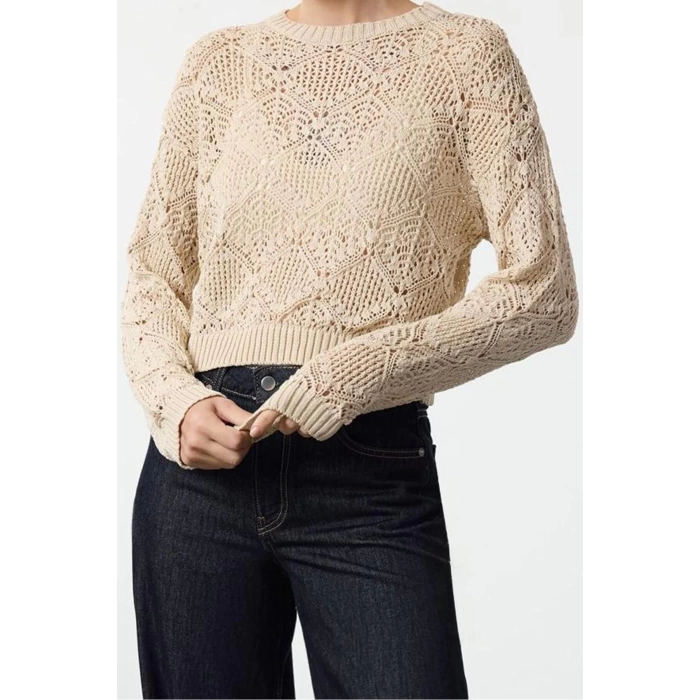 Women Fashion Stylish Crew Neck Low Sleeve Regular Openwork Knitwear Sweater