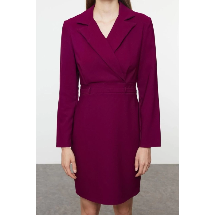Women Fashion Stylish Mini Length Jacket Collar Regular Woven Dress