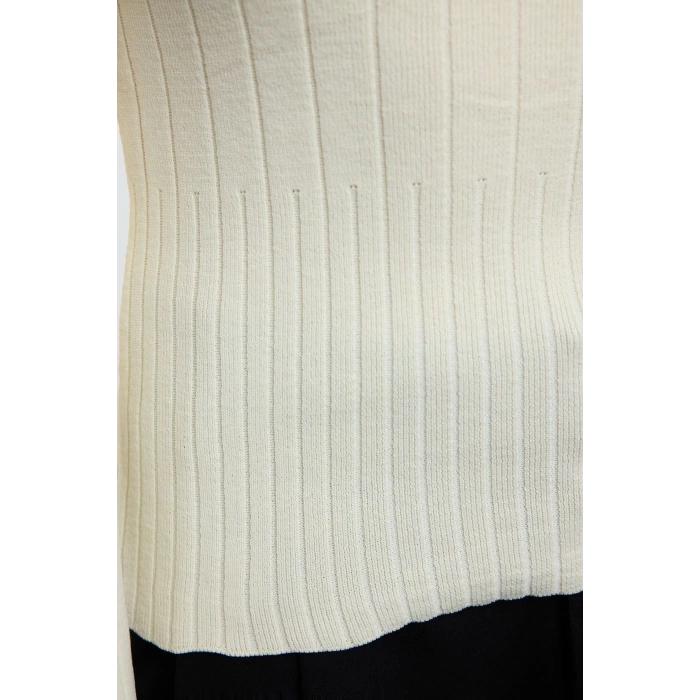 Women Fashion Stylish Crew Neck Standard Sleeve Regular Basic Knitwear Sweater