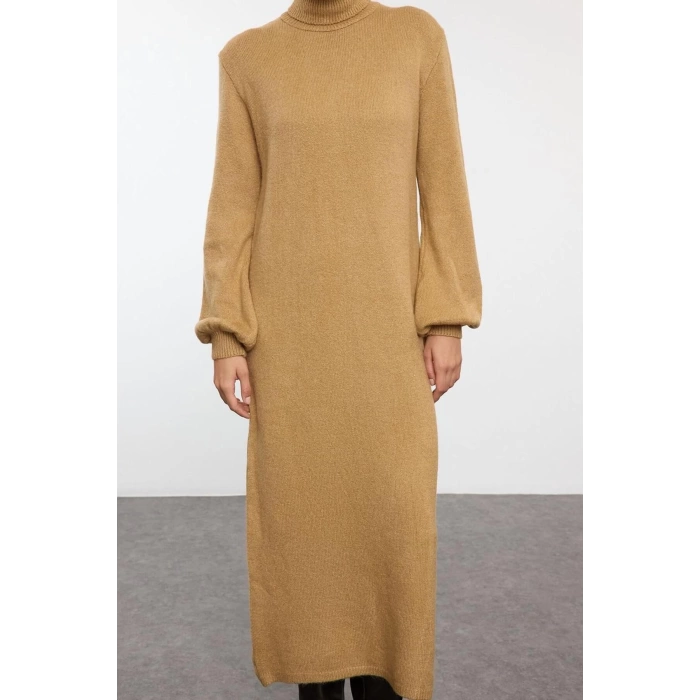 Women Fashion Stylish Midi Length Turtleneck Regular Knitwear Soft Textured Sweater Dress