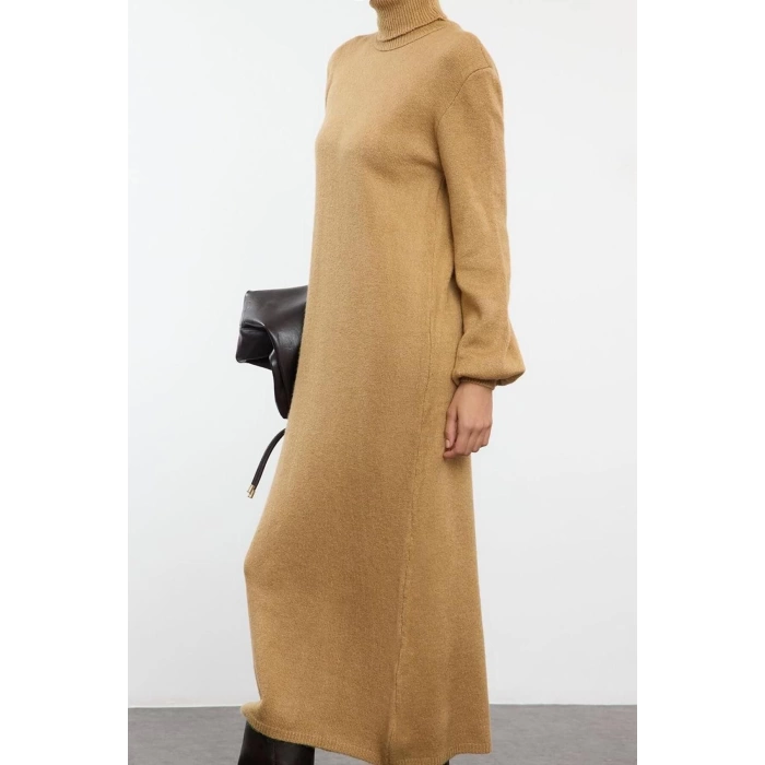 Women Fashion Stylish Midi Length Turtleneck Regular Knitwear Soft Textured Sweater Dress