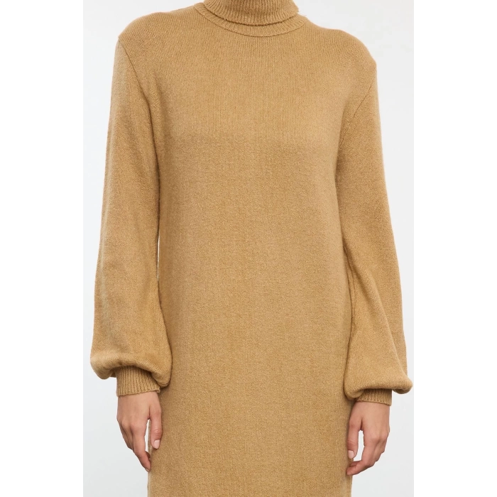 Women Fashion Stylish Midi Length Turtleneck Regular Knitwear Soft Textured Sweater Dress