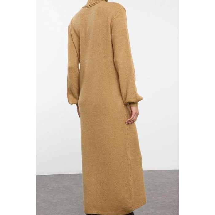 Women Fashion Stylish Midi Length Turtleneck Regular Knitwear Soft Textured Sweater Dress