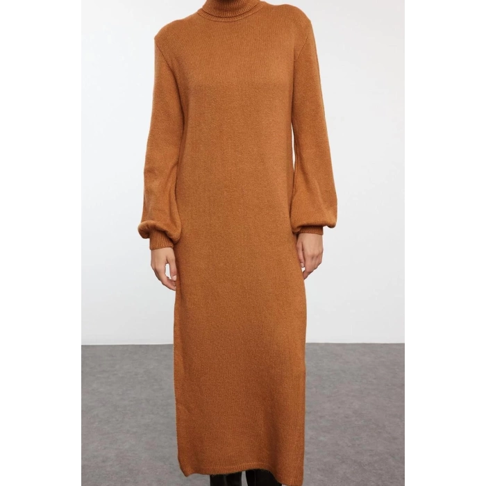 Women Fashion Stylish Midi Length Turtleneck Regular Knitwear Soft Textured Sweater Dress