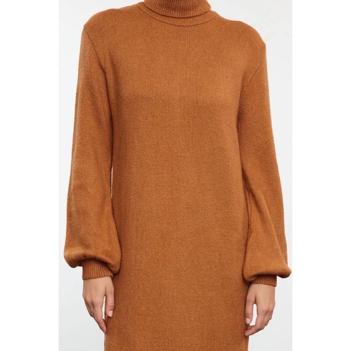 Women Fashion Stylish Midi Length Turtleneck Regular Knitwear Soft Textured Sweater Dress