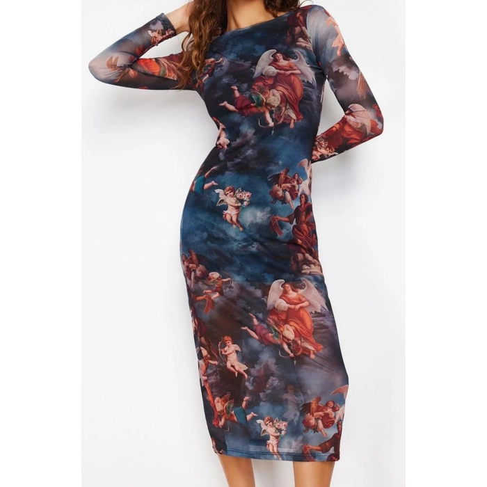 Women Fashion Stylish Midi Length Crew Neck Slim Printed Lined Bodycon Tulle Knitted Dress