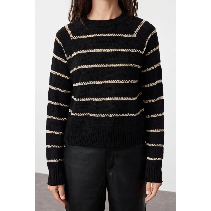 Women Fashion Stylish Crew Neck Raglan Sleeve Regular Glitter Striped Knitwear Sweater