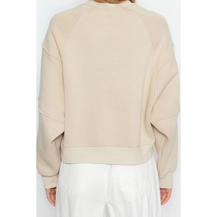 Women Fashion Stylish Regular Crew Neck Low Sleeve Crop Fit Embroidered Thick Fleece Knitted Sweatshirt
