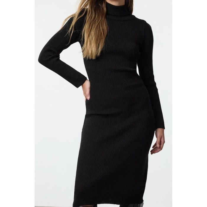 Women Fashion Stylish Midi Length Turtleneck Regular Knitwear Basic Dress