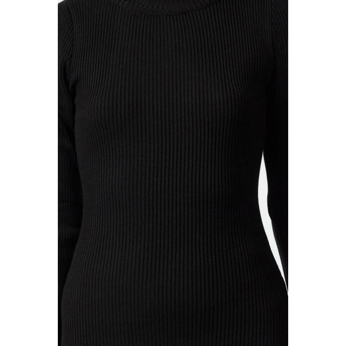 Women Fashion Stylish Midi Length Turtleneck Regular Knitwear Basic Dress