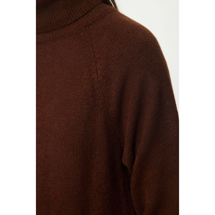 Women Fashion Stylish Mini Length Turtleneck Regular Knitwear Basic Dress