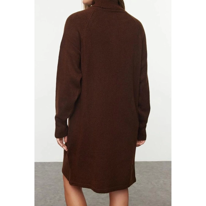 Women Fashion Stylish Mini Length Turtleneck Regular Knitwear Basic Dress