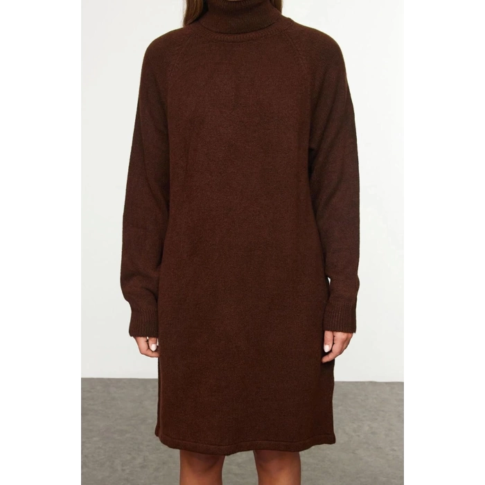 Women Fashion Stylish Mini Length Turtleneck Regular Knitwear Basic Dress