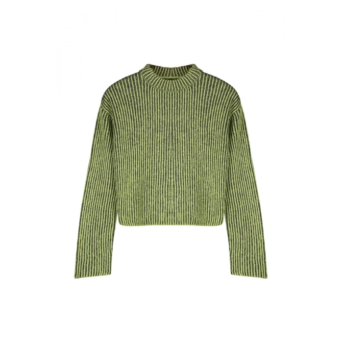 Kadın Moda Şık Bisiklet Yaka Standart Kol Crop Yumuşak Dokulu Triko Kazak
